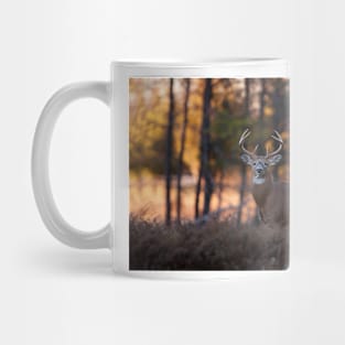 White-tailed Deer at Sunset Mug